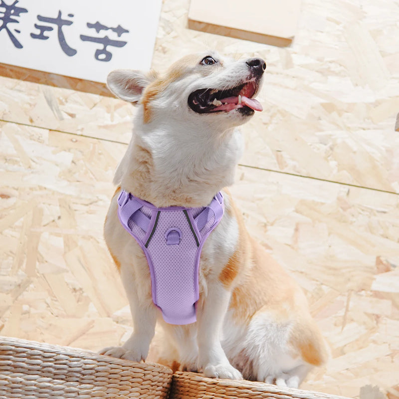 Adjustable Nylon Dog Harnesses With Control Handle