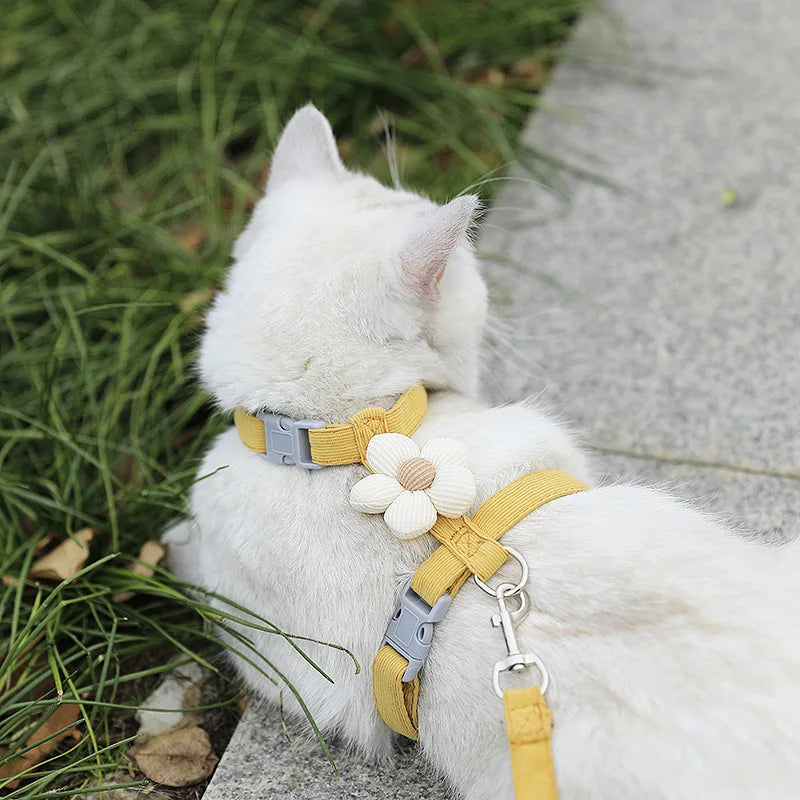 Leash Sets Adjustable Harness Breashable