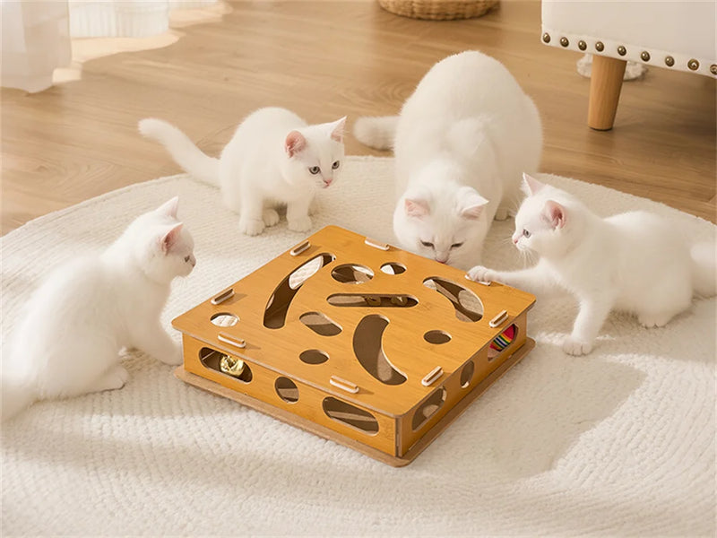 kitten toy cat Interactive Toy Can Stimulate Cat Curiosity
