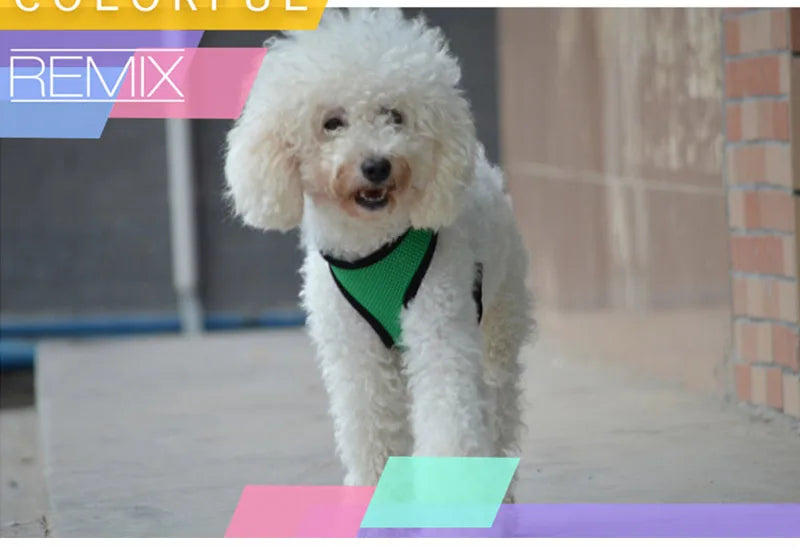 Pets Dog Harness For Small Dogs Cats