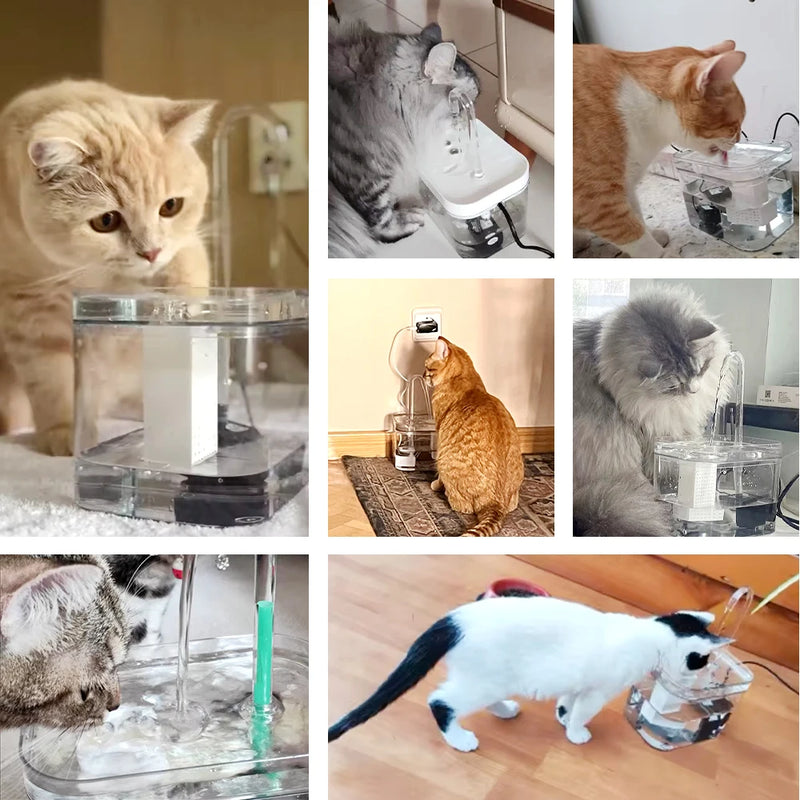 Cat Water Fountain Auto Filter Transparent Cat Drinker