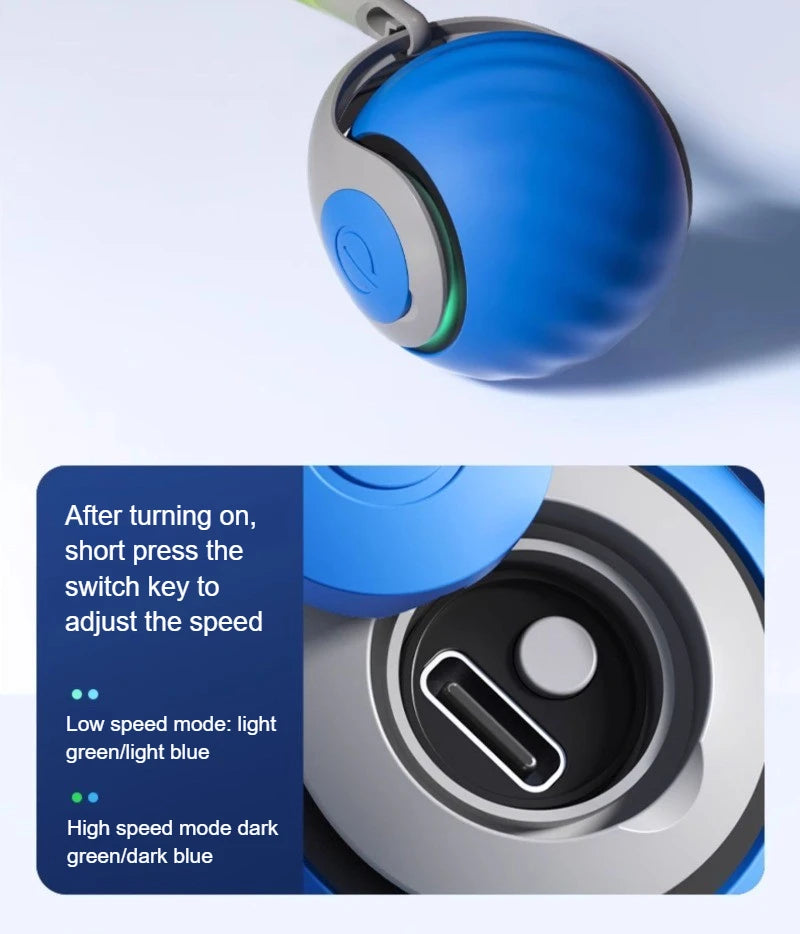 Interactive Ball Toys, Automatic Rolling Ball with Faux Tail,USB Rechargeable