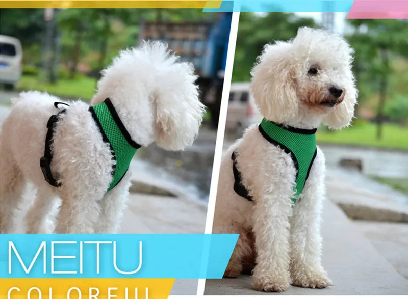 Pets Dog Harness For Small Dogs Cats