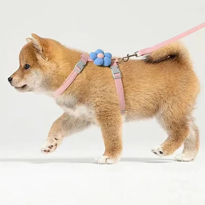 Leash Sets Adjustable Harness Breashable