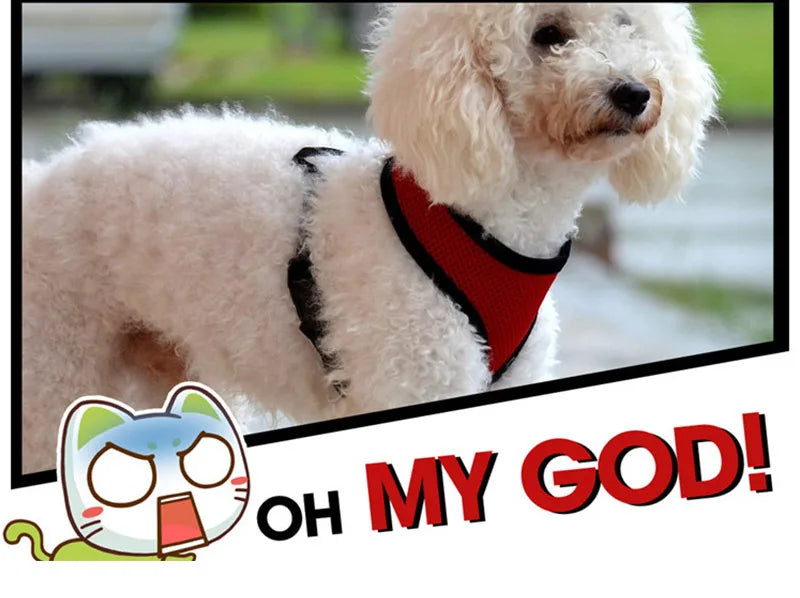 Pets Dog Harness For Small Dogs Cats
