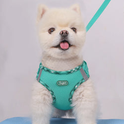 Dog Harness, Anti-Pull, Pet Harness, Adjustable, Easy to Control