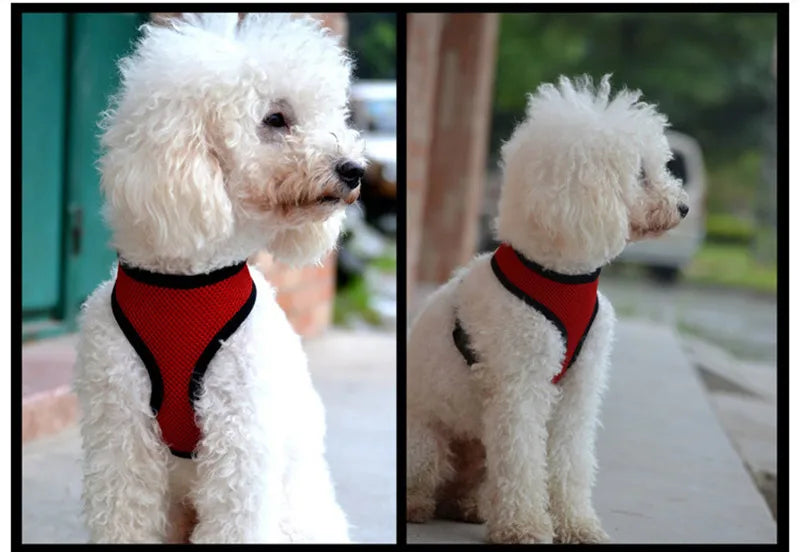 Pets Dog Harness For Small Dogs Cats