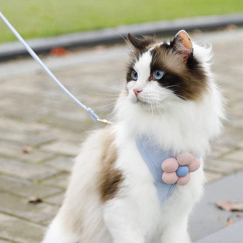 Leash Sets Adjustable Harness Breashable