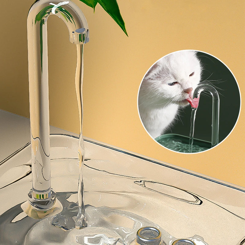 Cat Water Fountain Auto Filter Transparent Cat Drinker