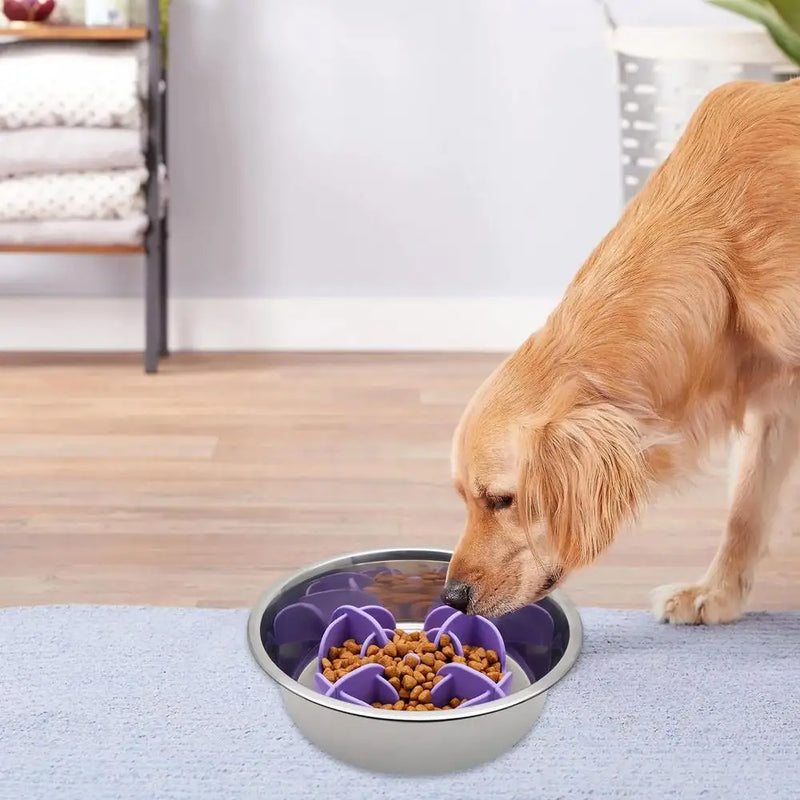 Pets Bowls Silicone Slow Feeder Anti Gulping Healthy Eating