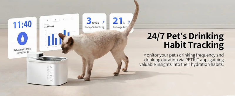 Cordless Automatic Cat Water Dispenser
