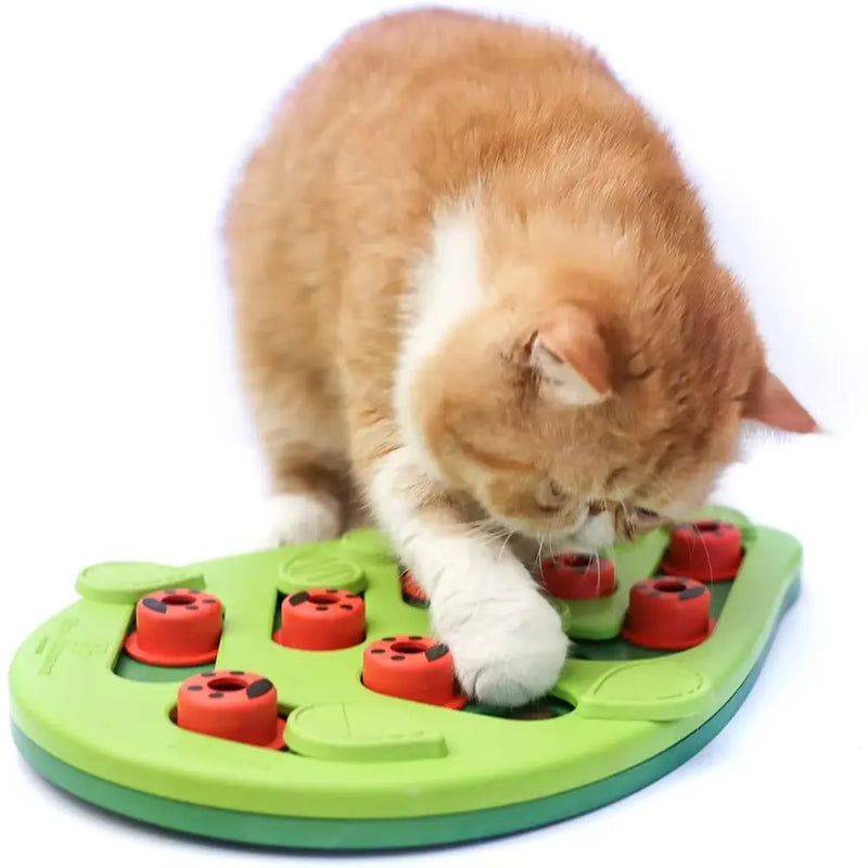 Cat Puzzle Treat Toy