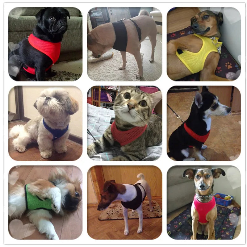 Pets Dog Harness For Small Dogs Cats