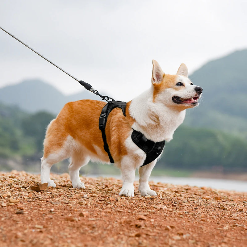 Adjustable Nylon Dog Harnesses With Control Handle