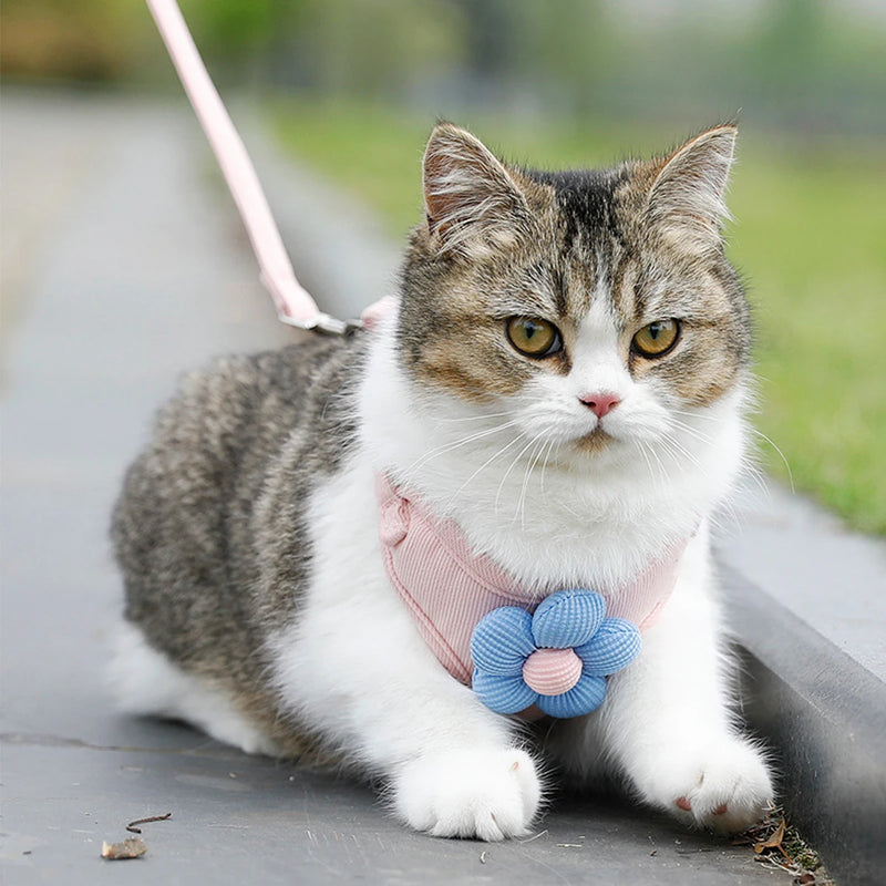 Leash Sets Adjustable Harness Breashable