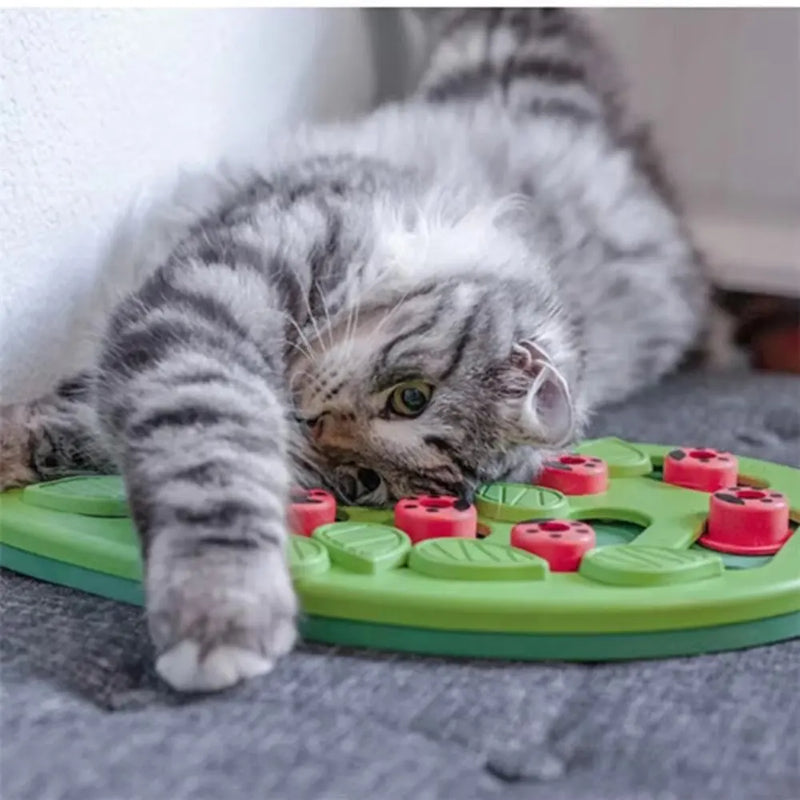 Cat Puzzle Treat Toy