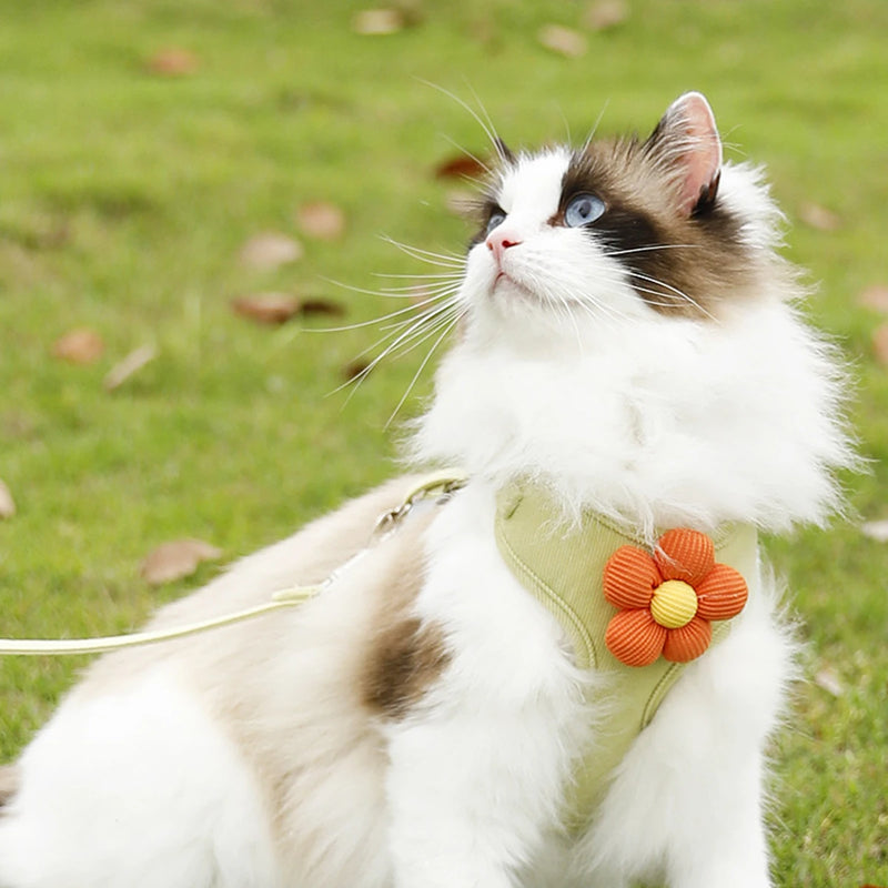 Leash Sets Adjustable Harness Breashable