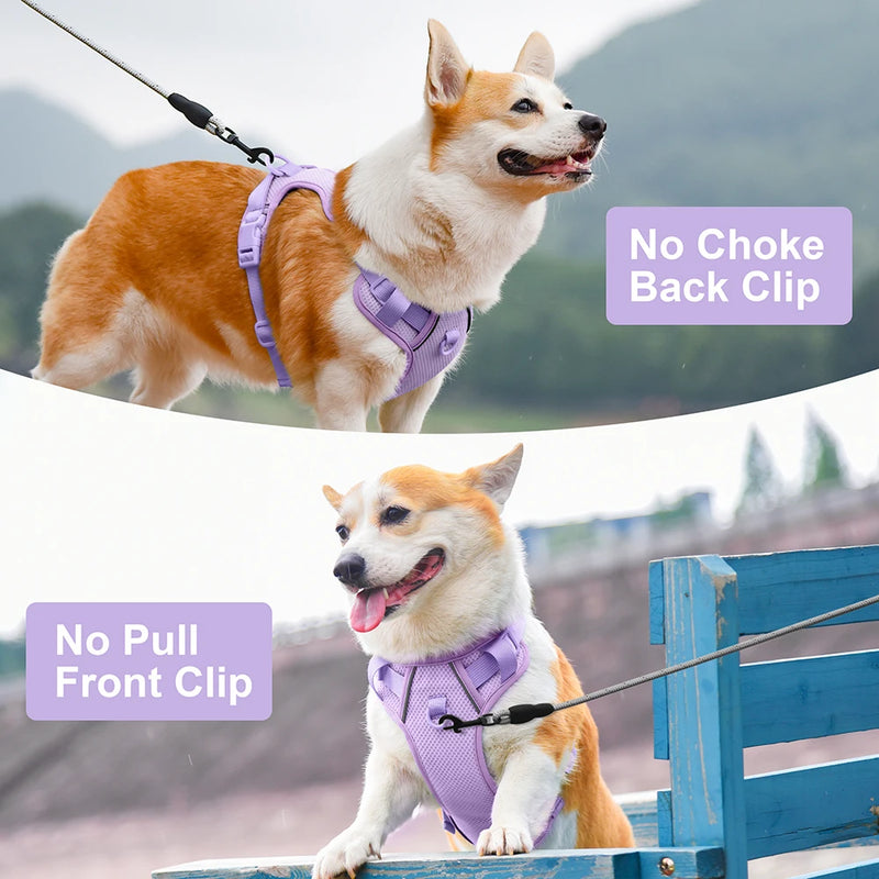 Adjustable Nylon Dog Harnesses With Control Handle