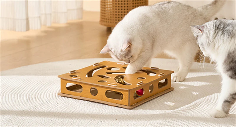 kitten toy cat Interactive Toy Can Stimulate Cat Curiosity