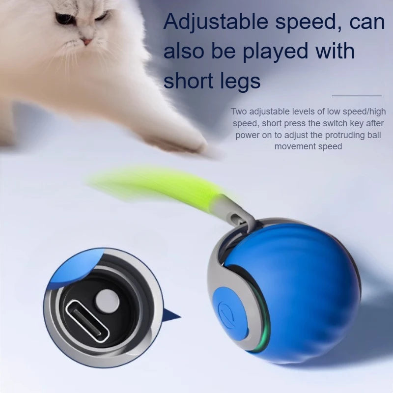 Interactive Ball Toys, Automatic Rolling Ball with Faux Tail,USB Rechargeable