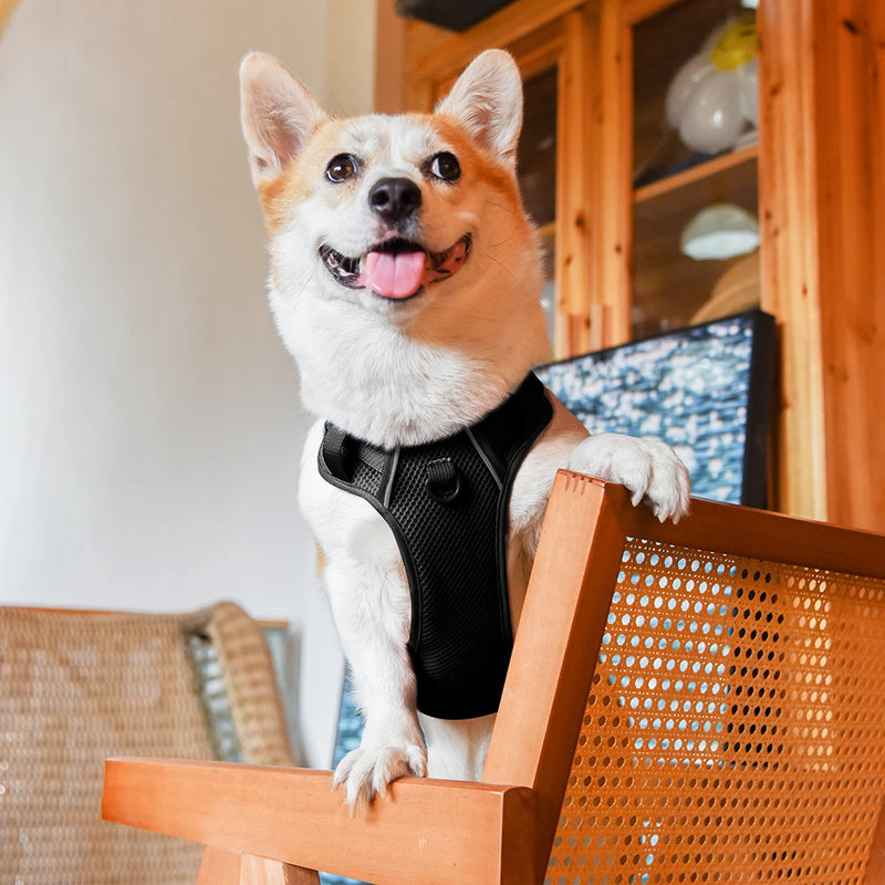 Adjustable Nylon Dog Harnesses With Control Handle